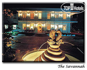 Photos The Savannah