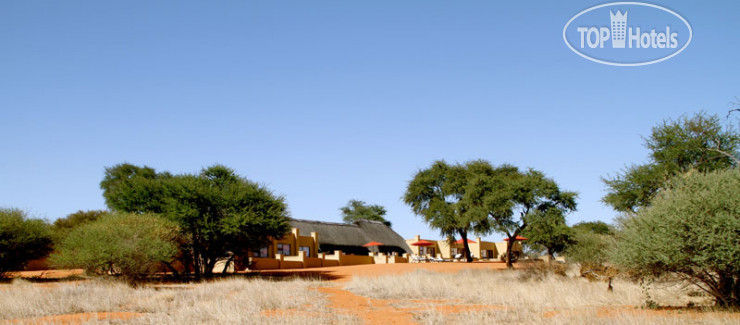 Фото Zebra Kalahari Lodge