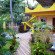 Photos Yellow House Vagator Goa