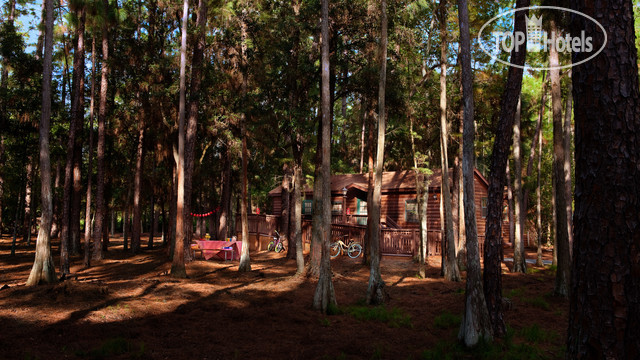 Photos The Cabins at Disney's Fort Wilderness Resort