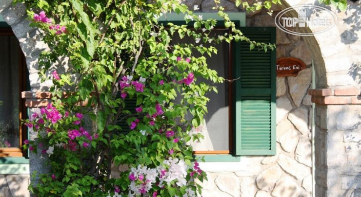 Photos Olive Farm Of Datca Guesthouse
